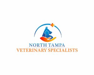 North Tampa veterinary specialists