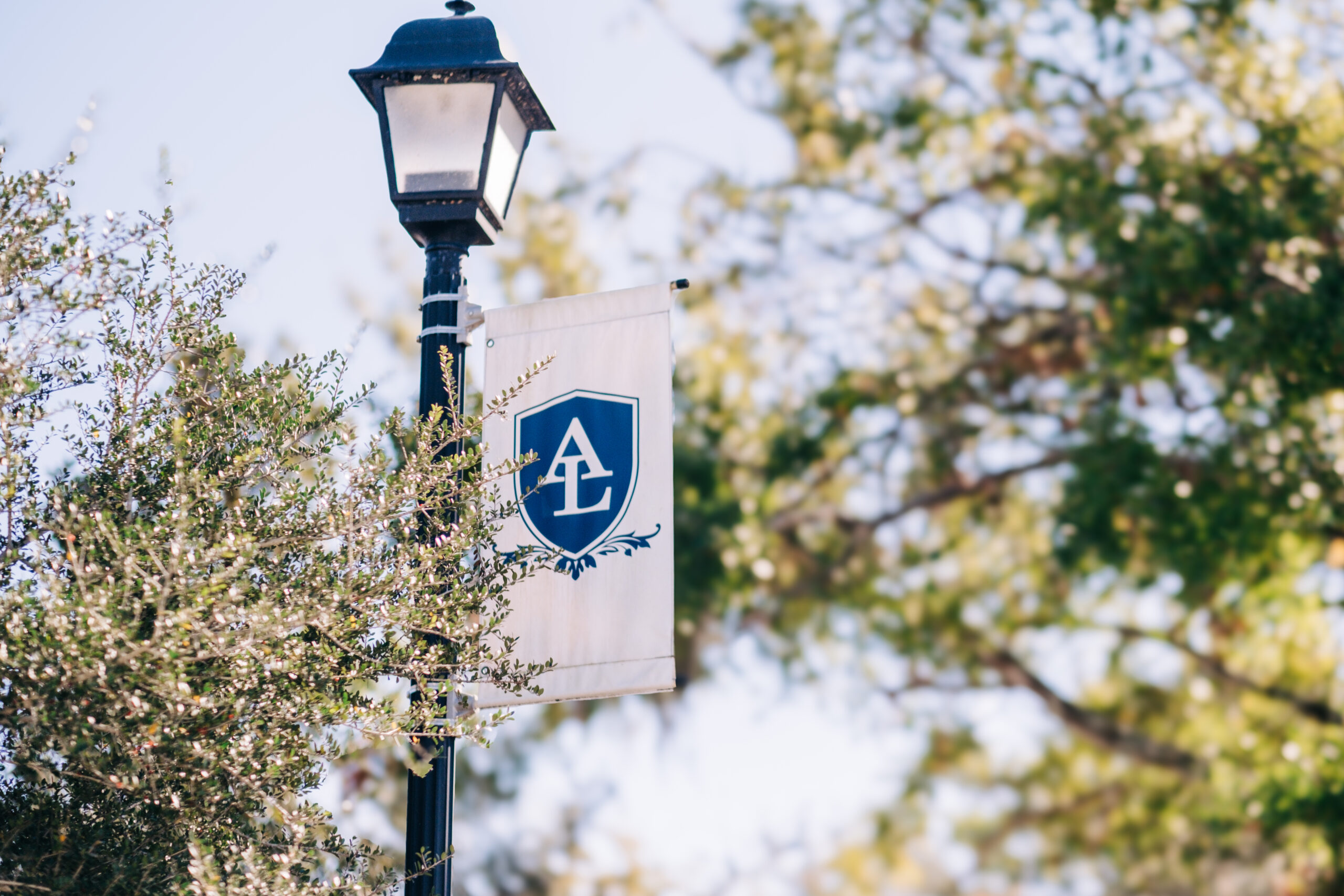 Academy at the Lakes campus flag with shield