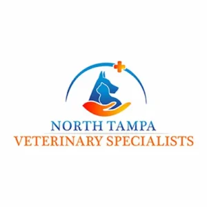 north-tampa-veterinary-specialists-final-copy_1